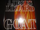Jesus Lizard 