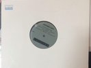 A Perfect Circle / TOOL LP Maynard's Joint LIVE DEMO + REMIX Japan Import aenima