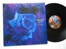 PARADISE LOST - Forever Failure 12