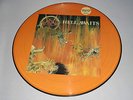 LP VINYL SLAYER - HELL AWAITS - LIMITED NUMBERED PICTURE DISC (VG)