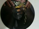 WASP I F**K LIKE A BEAST PIC DISK ***RARE***