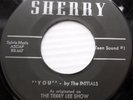 THE INITIALS doowop 45 YOU b/w BELLS OF JOY the TERRY LEE SHOW mint minus  F1426