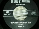 Lee David Temptation is calling my name