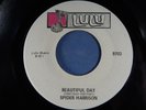 Orig. 70's Spider Harrison Beautiful Day - Never in My Life LULU 9703