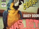 DAISY DOOR - Curry / Was ist dabei  7