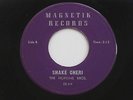 HOPKINS BROS. Shake Cheri / Your Kiss Of Fire Magnetik Northern Soul 45 HEAR