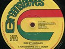 I Haicideons & I Jarzif - Rise Ethiopians UK Greensleeves 12