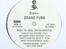 Grand Puba 