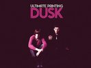ULTIMATE PAINTING DUSK US PRESS SEALED LP + DOWNLOAD CODE veronica falls mazes