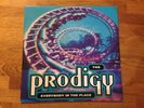 The Prodigy - Everybody In The Place - 12