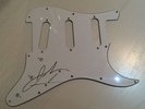 John Johnny Rzeznik Hand Signed Autograph Guitar Scratchplate Goo Goo Dolls COA