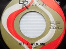 REGINAS northern soul girl group 45 HE'S A WILD ONE HE'S THE BOY strong VG C2559