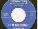 CHANTAYS  garage/inst. 45  I'll Be Back Someday / Beyond - NM