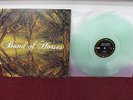 BAND OF HORSES Everything All The Time LP RARE Newbury Comics Edition #869/1000