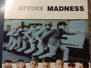 Madness Divine Madness Best Of Double Vinyl LP