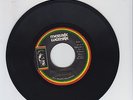 MESSAGE/ PABLO ARMAGEDDON  -  AUGUSTUS PABLO  (78 REGGAE ROOTS 7