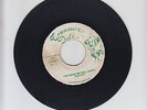 TREASURE ISLE/ YOU MAKE ME FEEL HAPPY  -  ALTON ELLIS ( 70 REGGAE ROCKERS   7