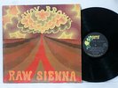 SAVOY BROWN Raw Sienna 1970 1st Press LP BELL SOUND PSYCH BLUES PARROT 71036 NM