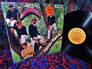 SHRINK  MINT  FLASH '66 - HANKY PANKY By THE SHONDELLS   GO-GO GARAGE NUGGETS LP
