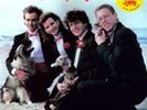 Circle Jerks: Wonderful     180 Gram (New Vinyl)