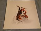 NK ?Nothing To Be Gained Here Vinyl LP envy on the coast dillinger escape plan