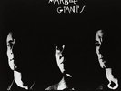 YOUNG MARBLE GIANTS COLOSSAL YOUTH 2007 LP VINYL 33RPM NEW EXPANDED ED