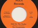 CHROMOTONES on Agla —FASHIONS OF THE 80's— san diego power pop punk 45 | LISTEN