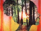 JOHN BROWN'S BODY - Fireflies - Vinyl (LP)