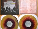 Fall Out Boy - From Under Cork Tree Vinyl LP New Sealed