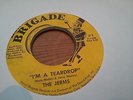 NORTHERN SOUL - THE JERMS - IM A TEARDROP - HONOR BRIGADE