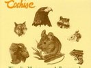 COCHISE Wie die Maus Zum Adler PIT BUDE DORLE FERBER LP RAR