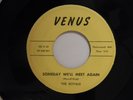 The Royals 45 SOMEDAY WE'LL MEET AGAIN / WANT YOU TO BE MY BABY Venus nice VG+