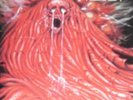 MORGOTH - RESURRECTION ABSURD - DE 89
