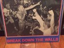Youth of Today Break down the Walls Vinyl LP Original NYHC Rare