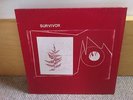 Pink Floyd: Survivor 1lp rare edition