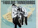 Fabulous Thunderbirds - Bad & Best Of The Fabulour Thunderbirds [2L VINYL LP NEW