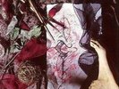 The Mind's - DARK TRANQUILLITY [CD]