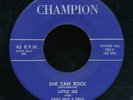45bs-R&B rocker-CHAMPION 1011-Little Ike