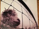 PEARL JAM Vs Vinyl Record LP Original 1993 Pressing Epic Z 53136