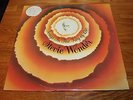Stevie Wonder 