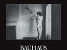 Bauhaus-In the Flat Field  (US IMPORT)  Vinyl / 12