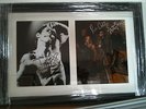 IGGY POP - RON & SCOTT ASHTON - STOOGES - Original Autographs Mounted & Framed