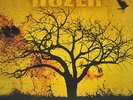DOZER - BEYOND COLOSSAL, 2015 GERMAN 180G CLEAR vinyl LP, 500 COPIES  SEALED