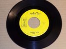 SWAMP RATS In the Midnight Hour/It's Not Easy 1967 CO & CE 245 garage rock 45