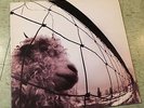 Pearl Jam VS LP original US 1993 gatefold pressing Epic Records