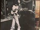 NEIL YOUNG - GREATEST HITS - 2VINYL