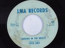 Funk 45 FIFTH UNIT Looking In The Breeze LMA HEAR