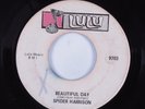 Funk 45 SPIDER HARRISON Beautiful Day LULU HEAR