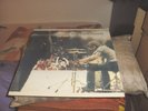 The Cardigans LP First Band On The Moon  1996 Vinyl  Lovefool