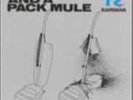 RAPEMAN-TWO NUNS & A PACK MULE  (US IMPORT)  VINYL LP NEW